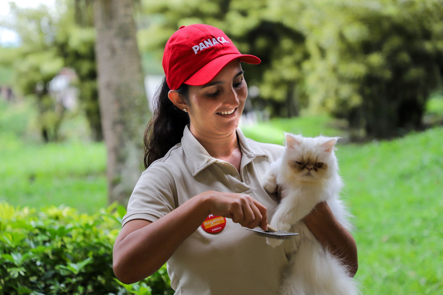 imagenCarruselPAnaca