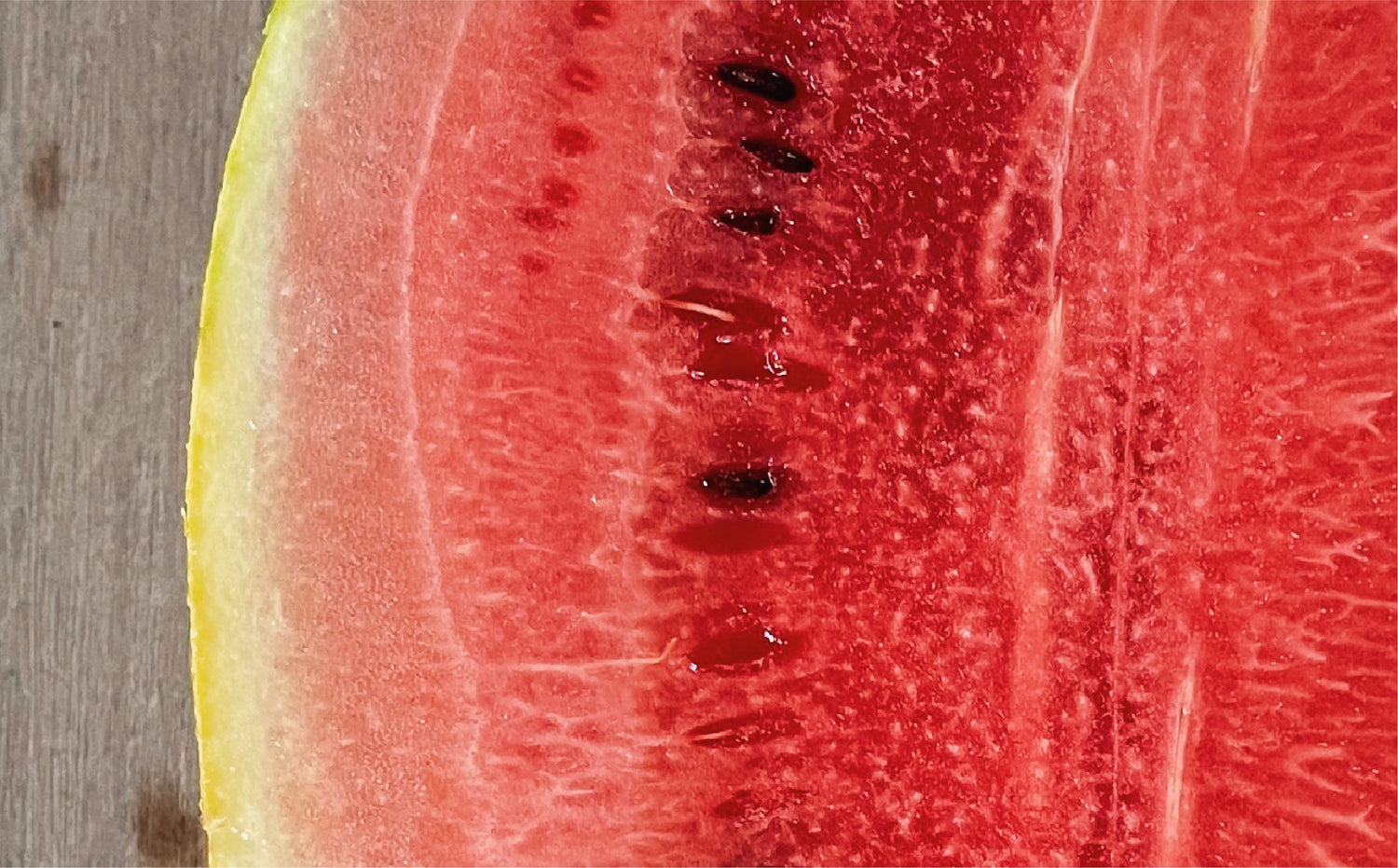 imagenCarruselPAnaca