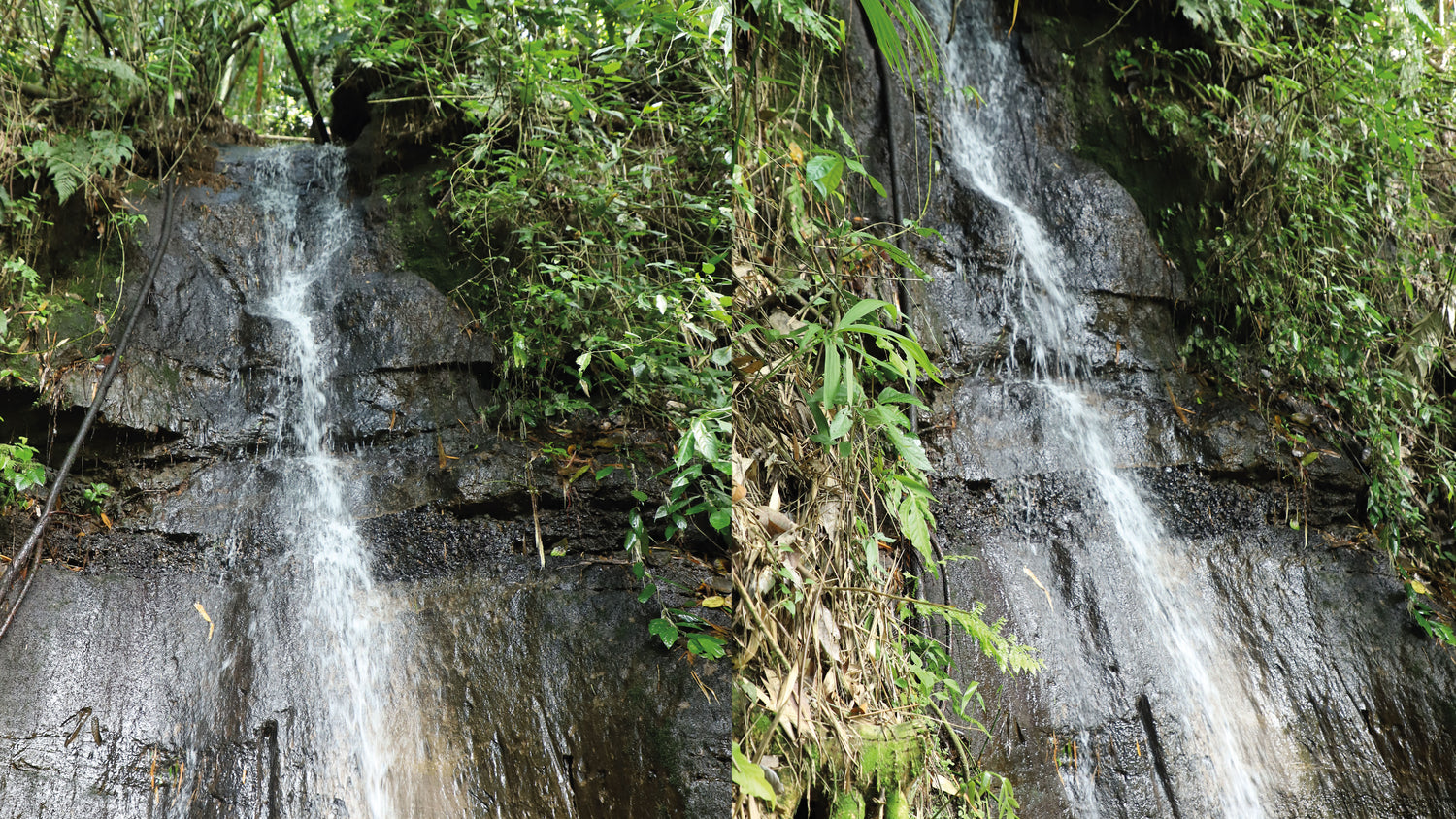 imagenCarruselPAnaca