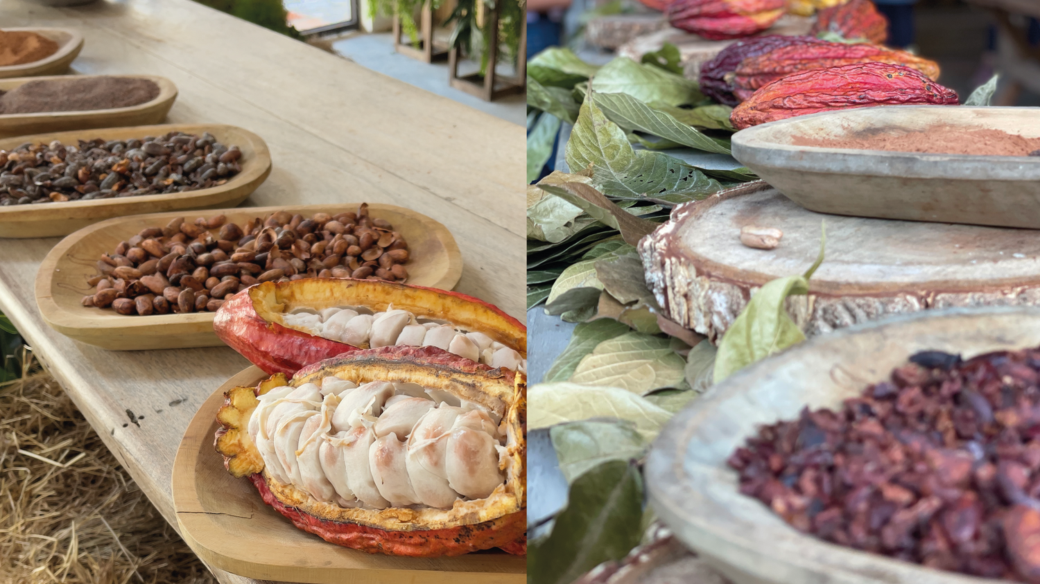 imagenCarruselPAnaca