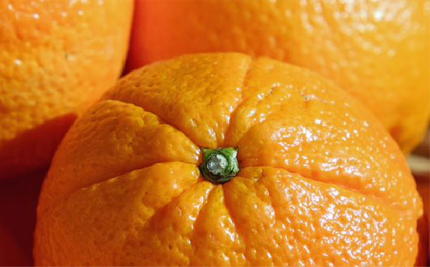 imagenCarruselPAnaca