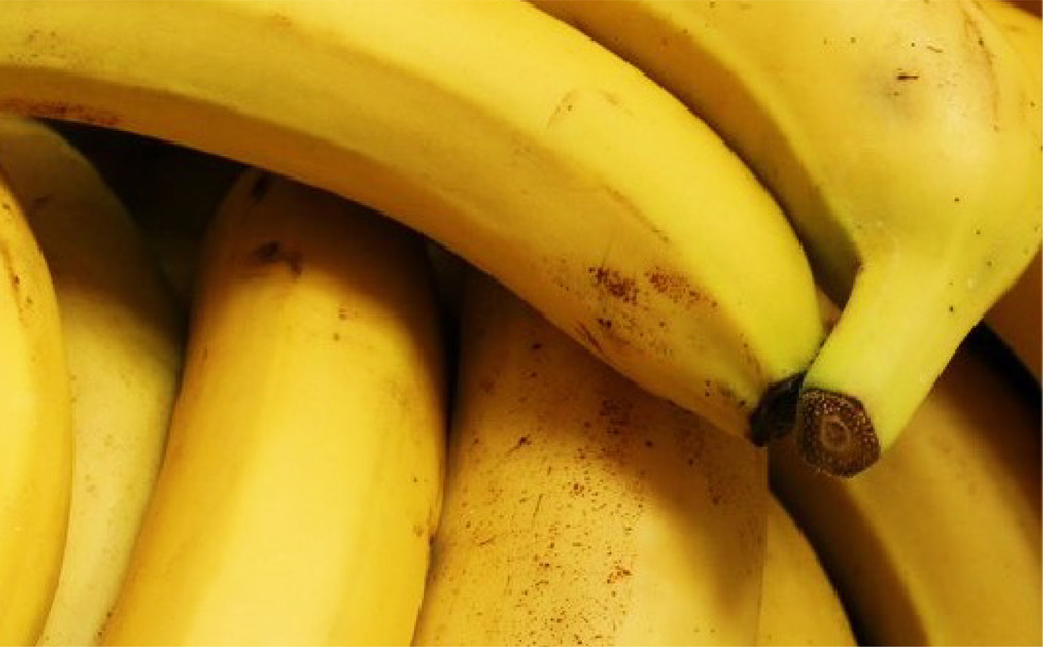 imagenCarruselPAnaca