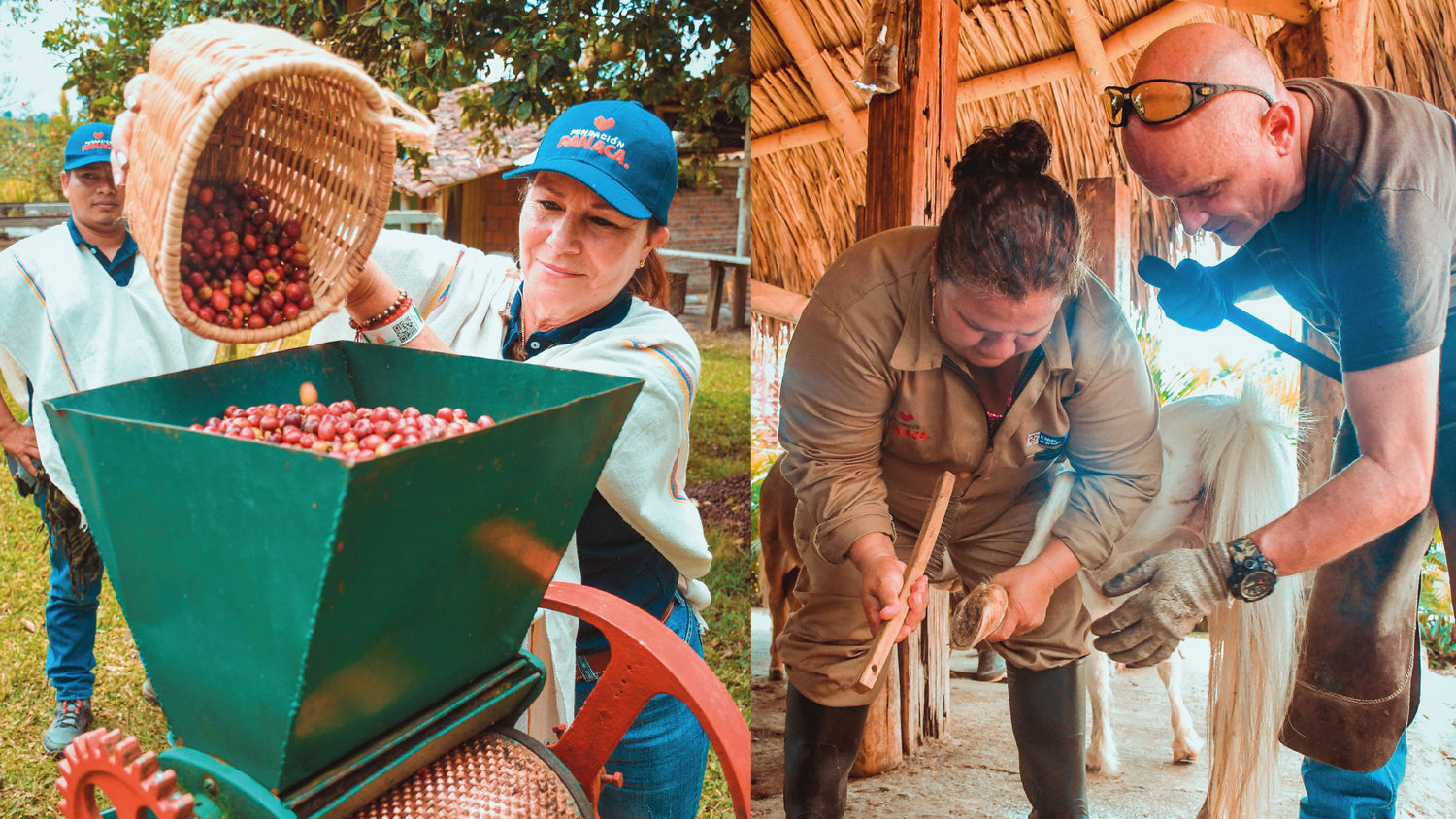 imagenCarruselPAnaca