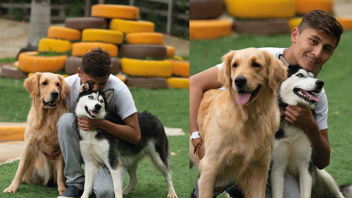 imagenCarruselPAnaca