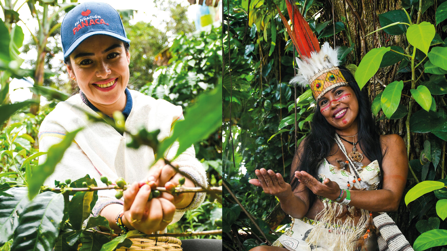 imagenCarruselPAnaca