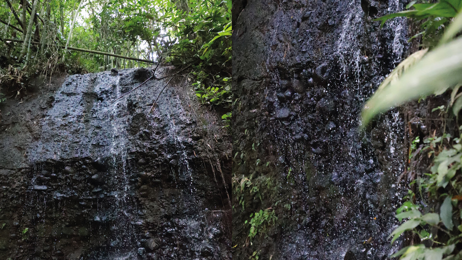 imagenCarruselPAnaca