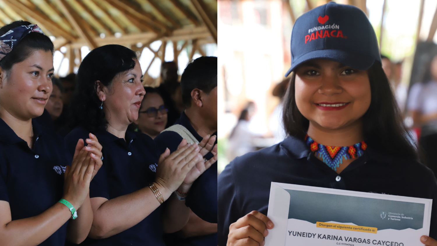 imagenCarruselPAnaca