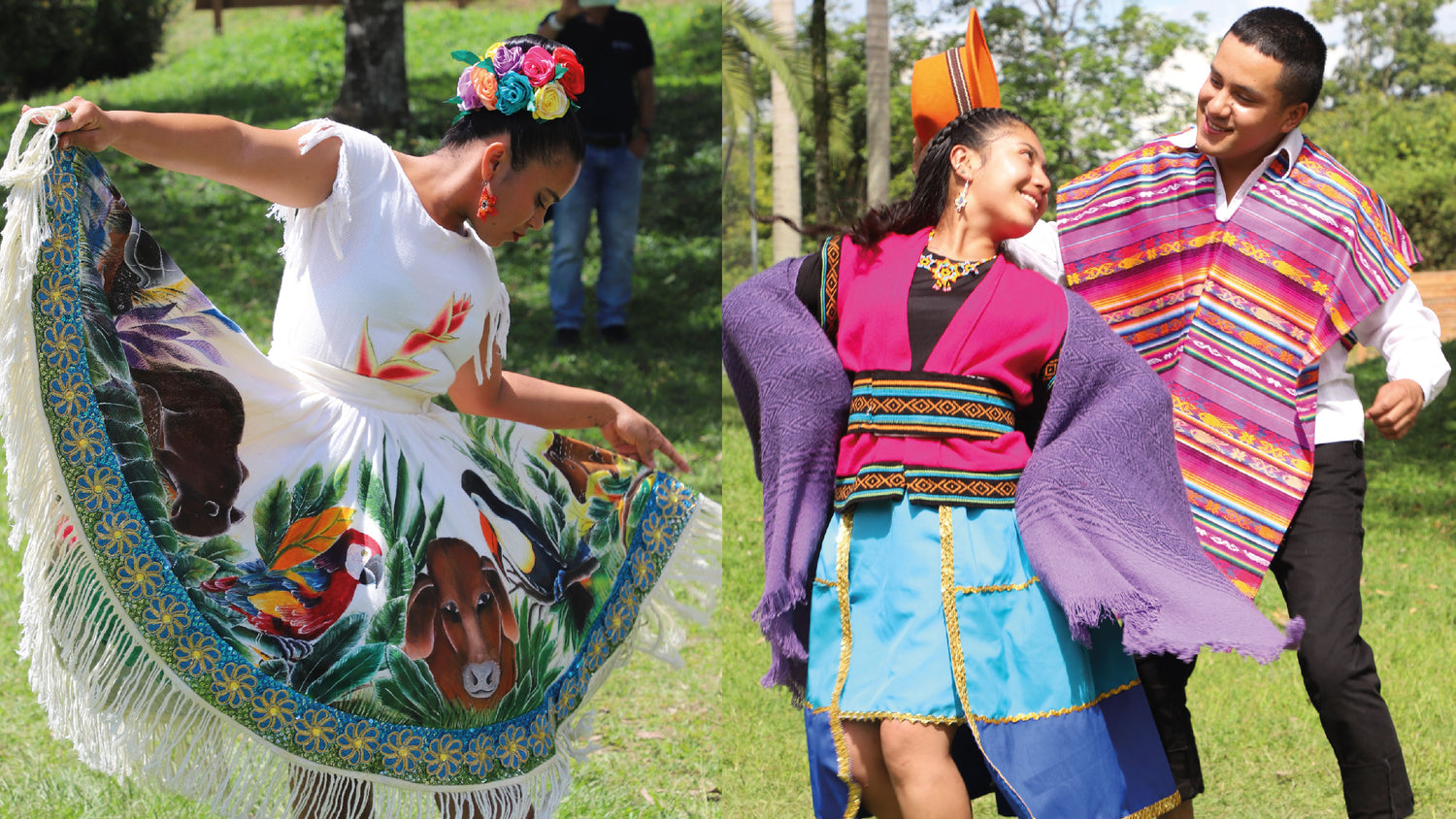 imagenCarruselPAnaca