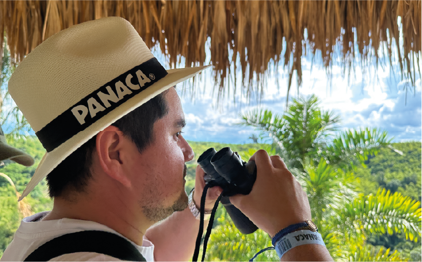 imagenCarruselPAnaca