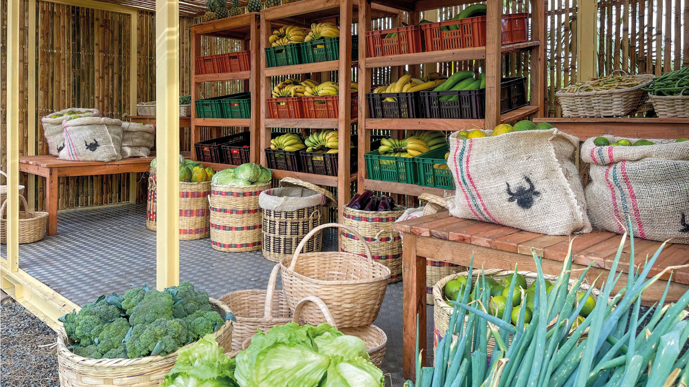 imagenCarruselPAnaca