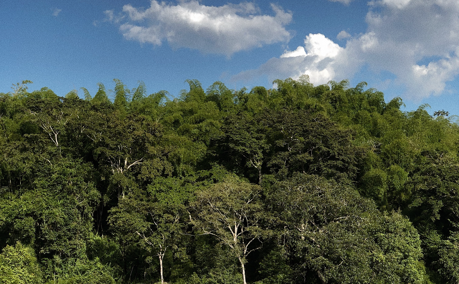 imagenCarruselPAnaca