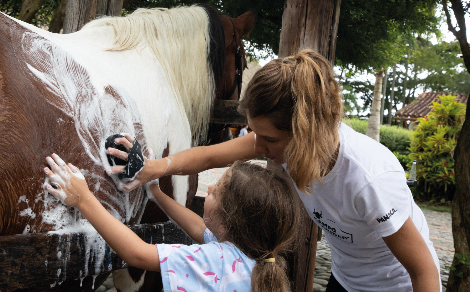 imagenCarruselPAnaca