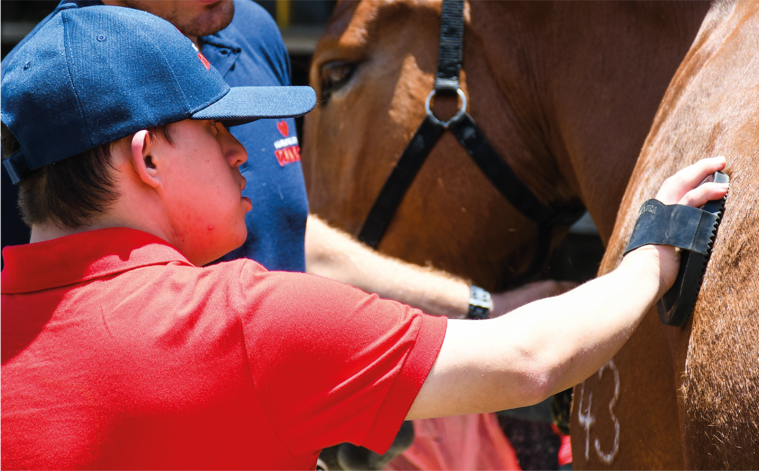 imagenCarruselPAnaca