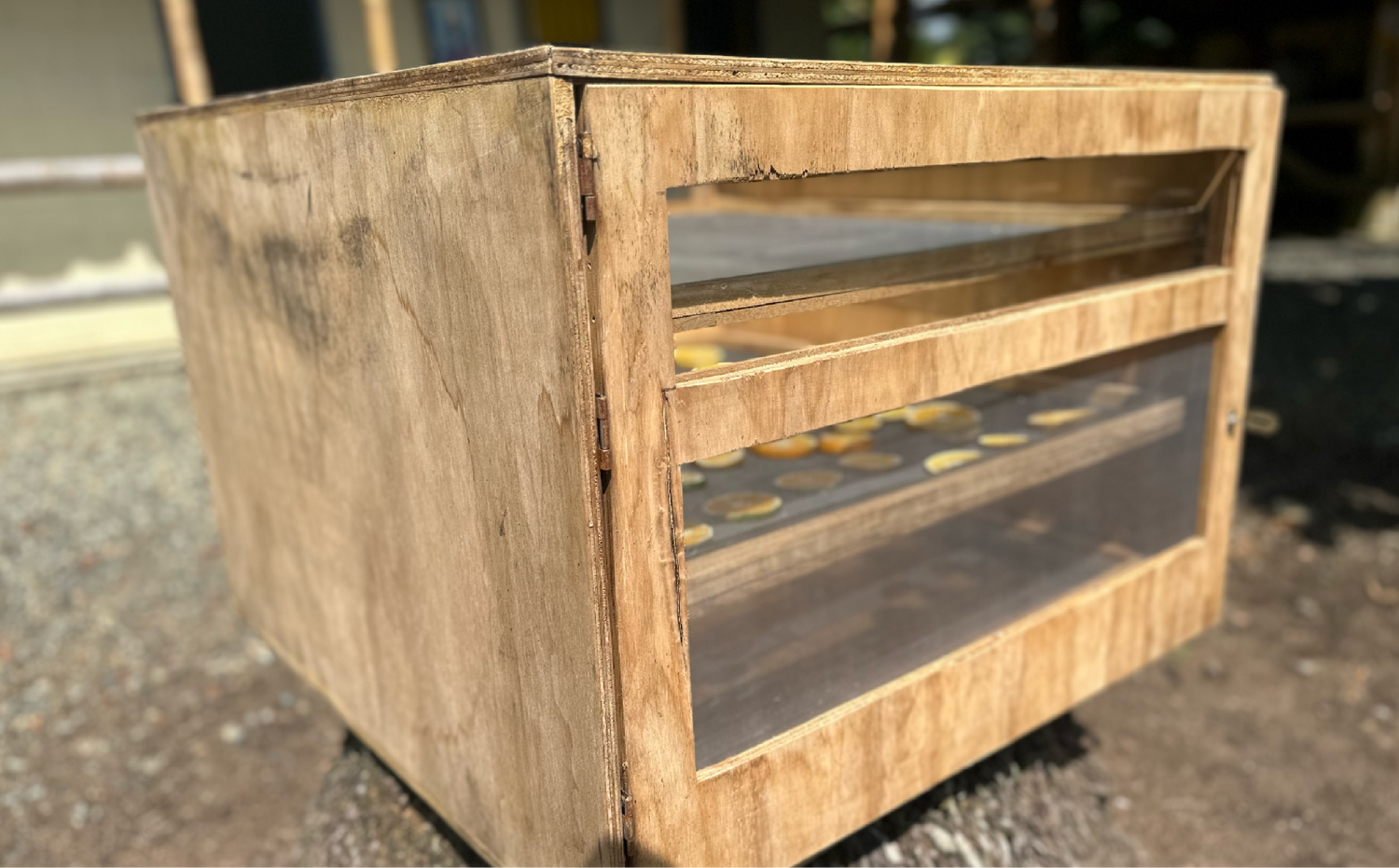 imagenCarruselPAnaca