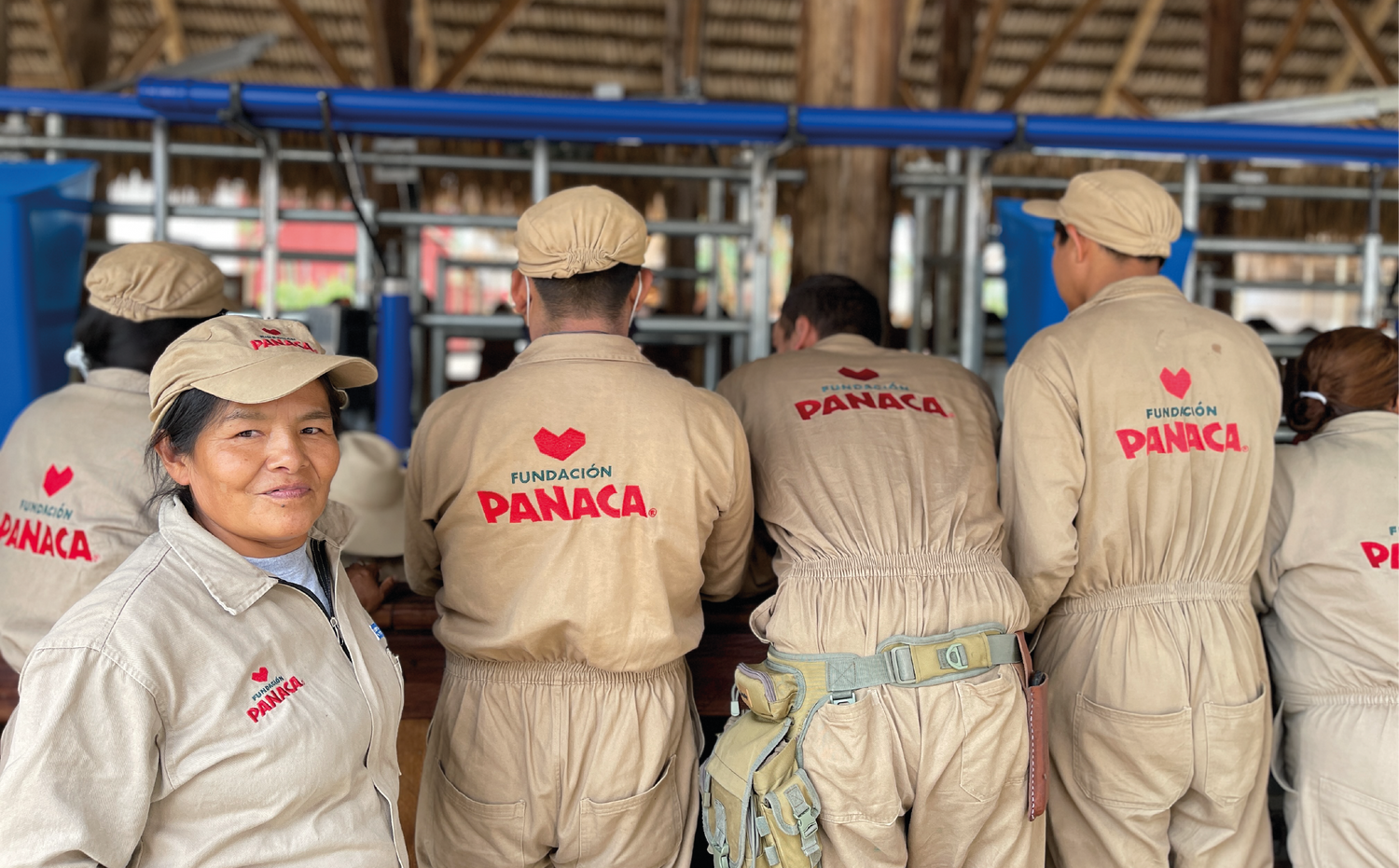 imagenCarruselPAnaca