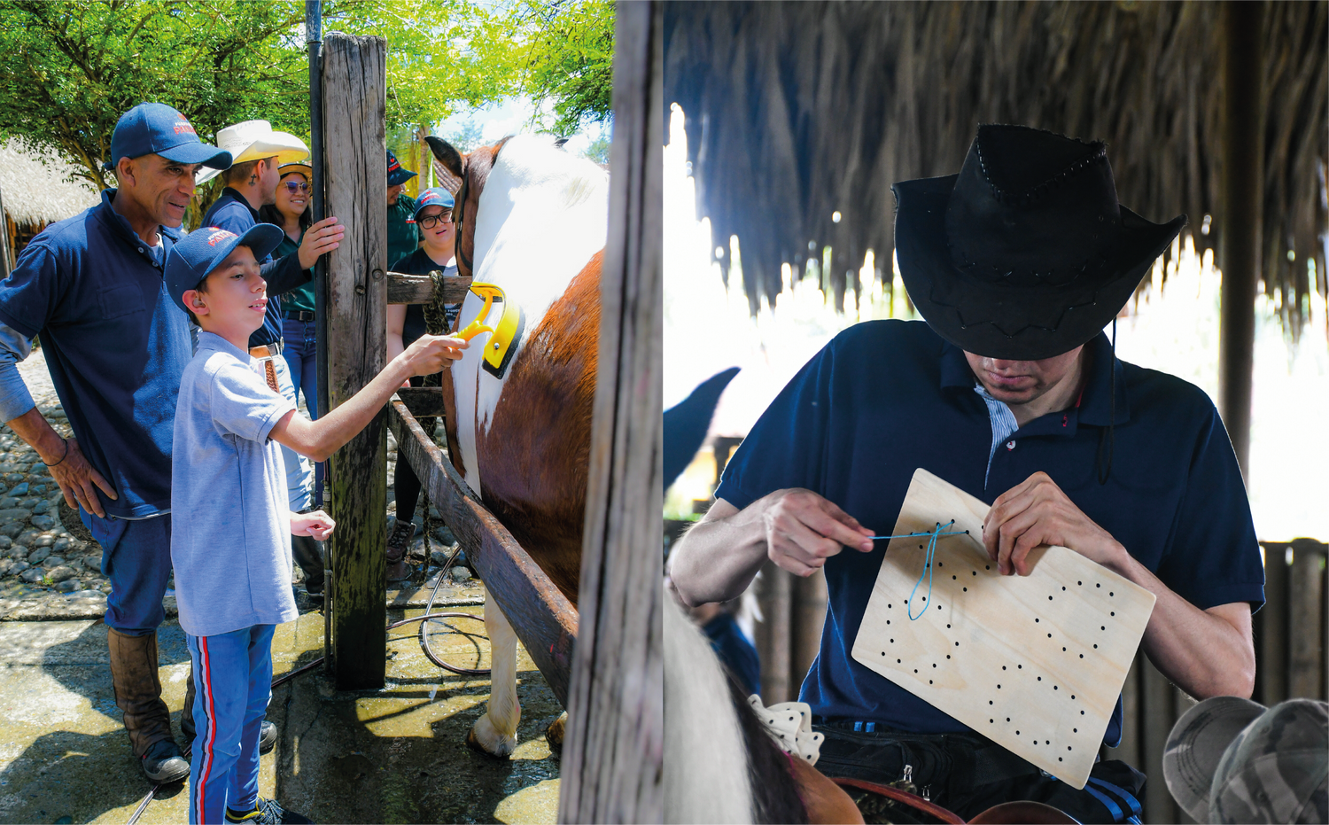 imagenCarruselPAnaca