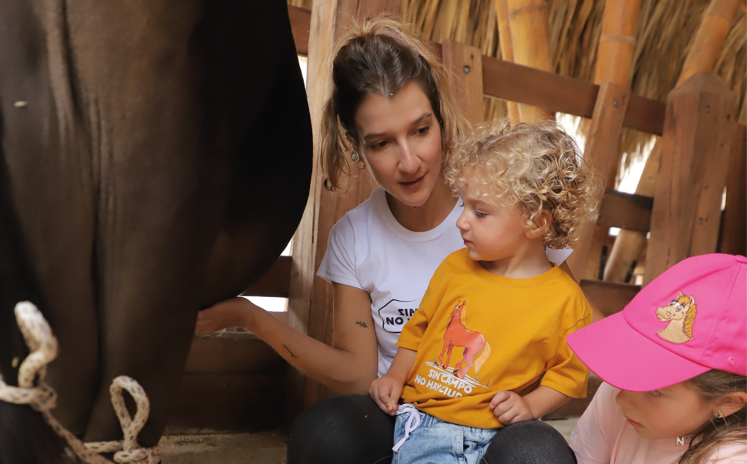 imagenCarruselPAnaca