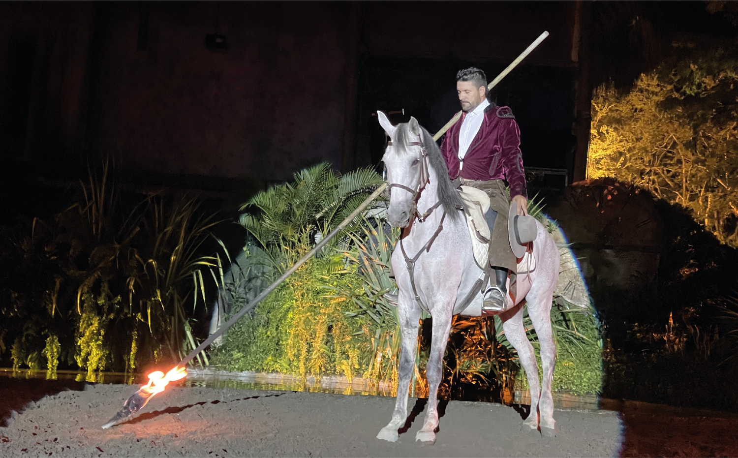 imagenCarruselPAnaca