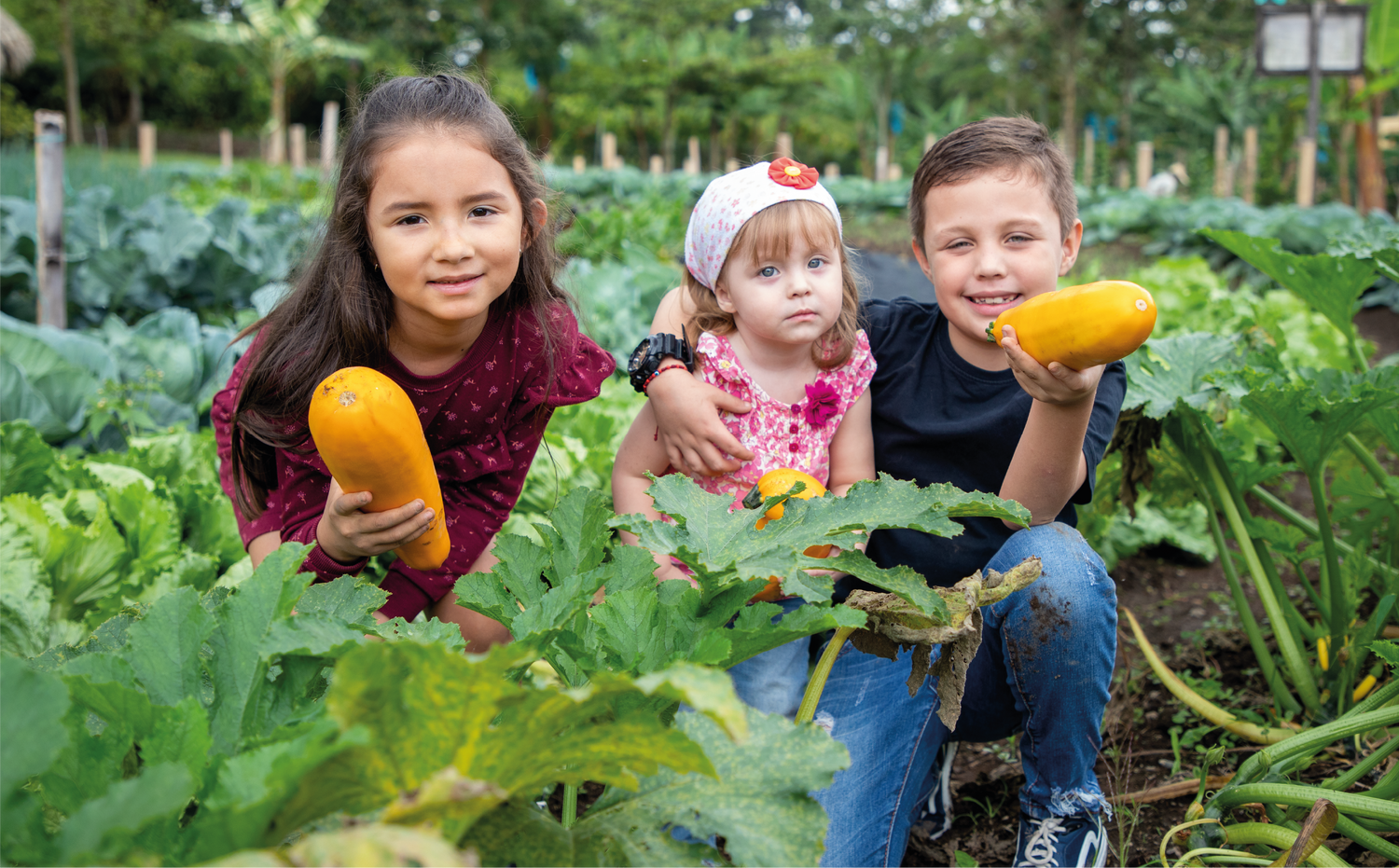 imagenCarruselPAnaca