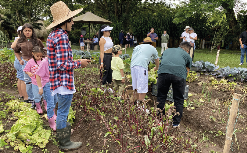 imagenCarruselPAnaca