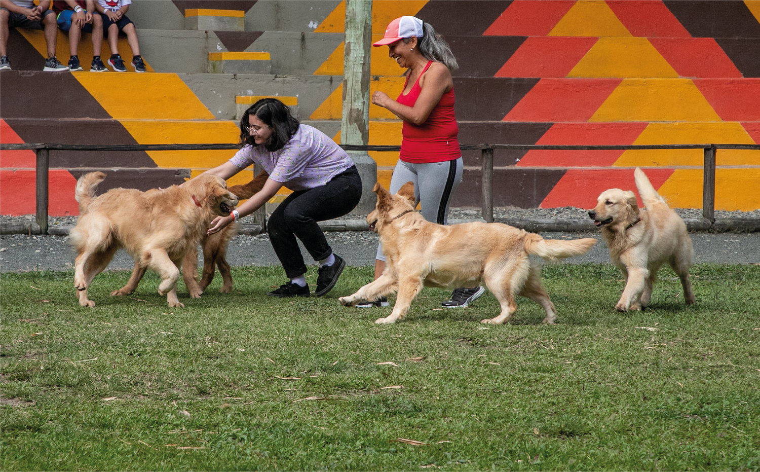 imagenCarruselPAnaca