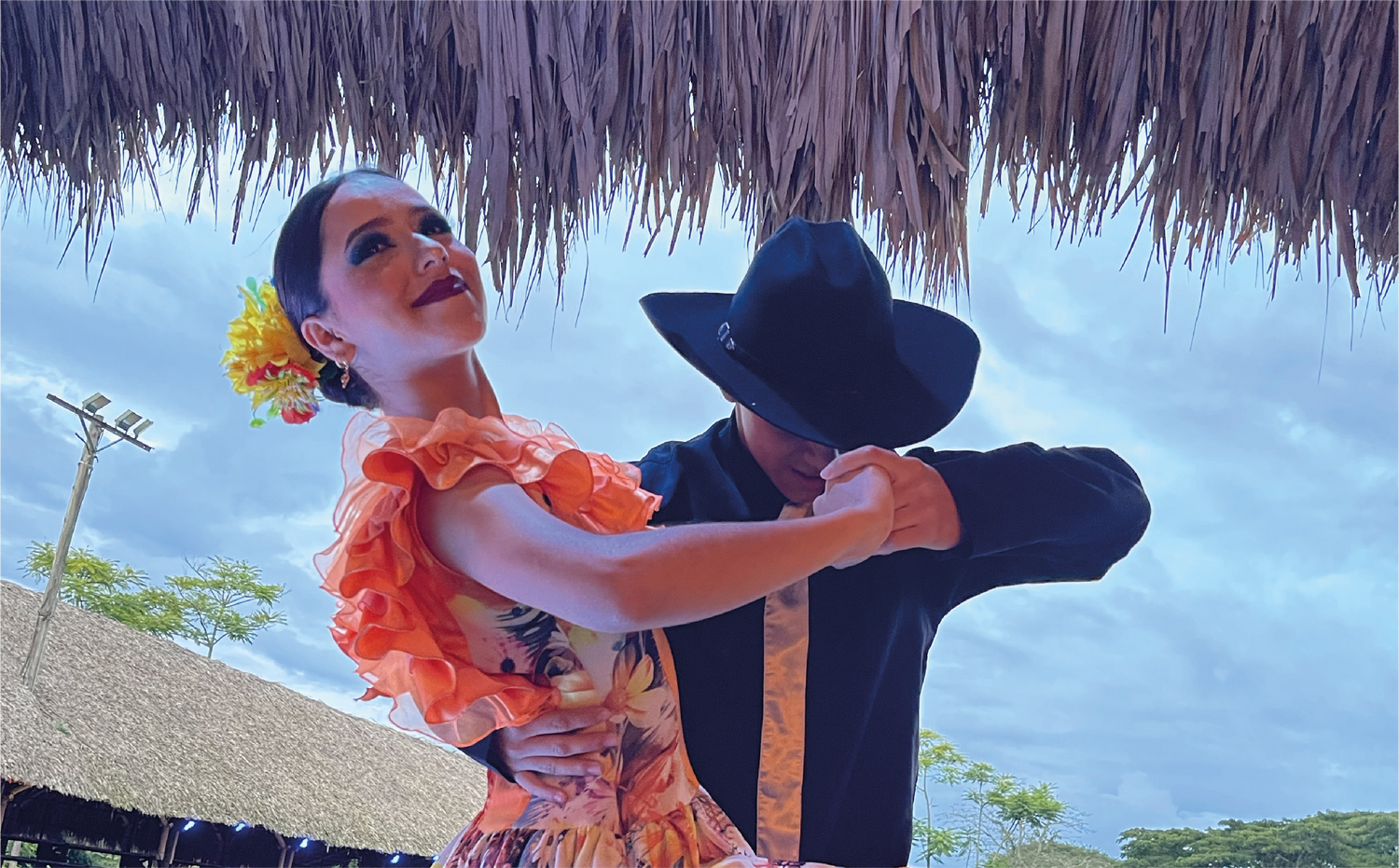 imagenCarruselPAnaca