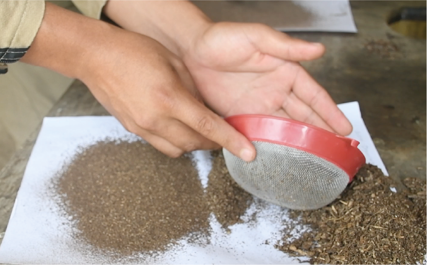 imagenCarruselPAnaca