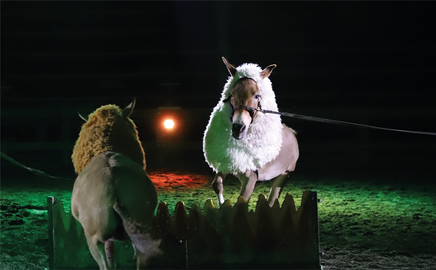 imagenCarruselPAnaca