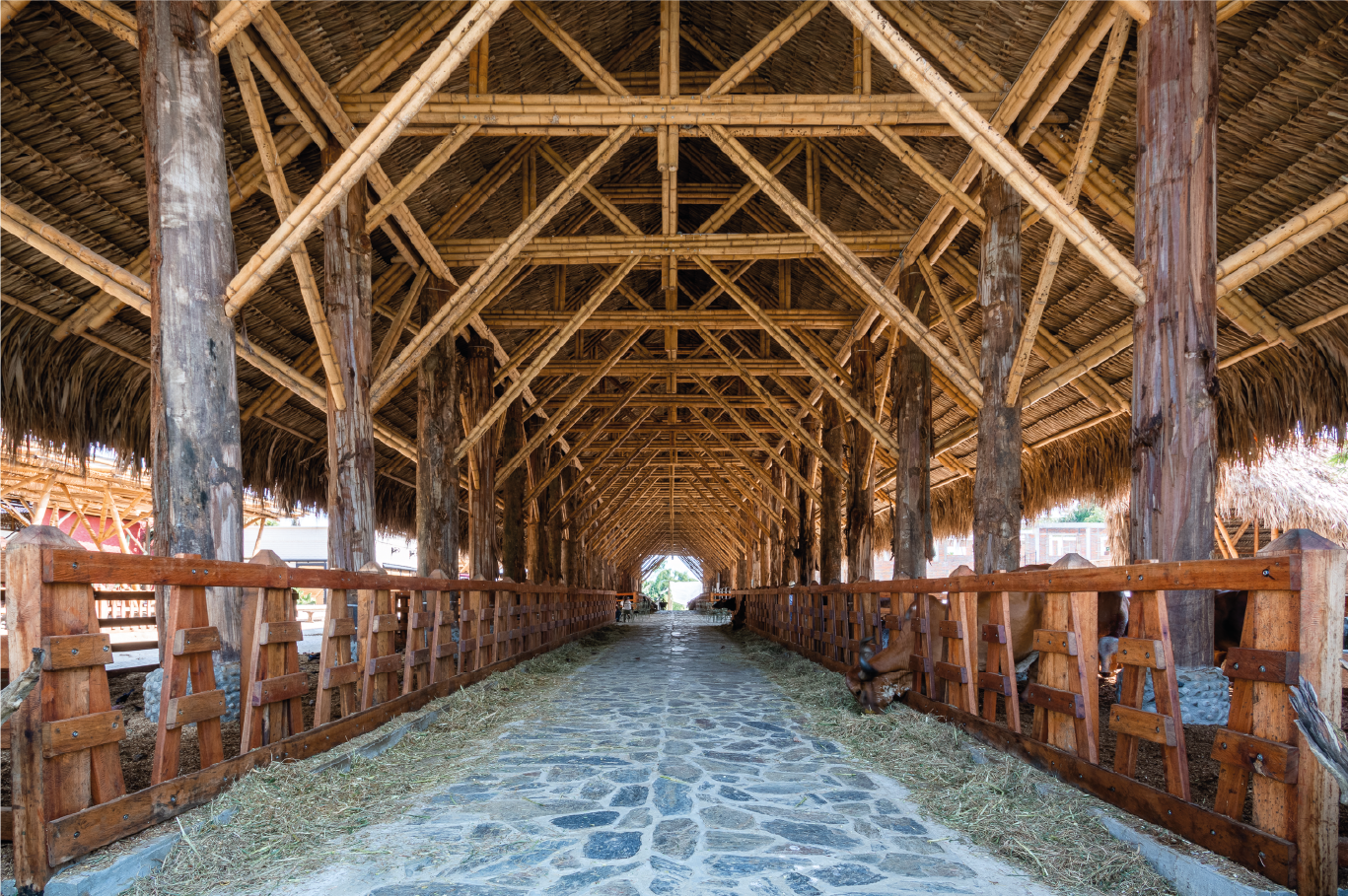 imagenCarruselPAnaca