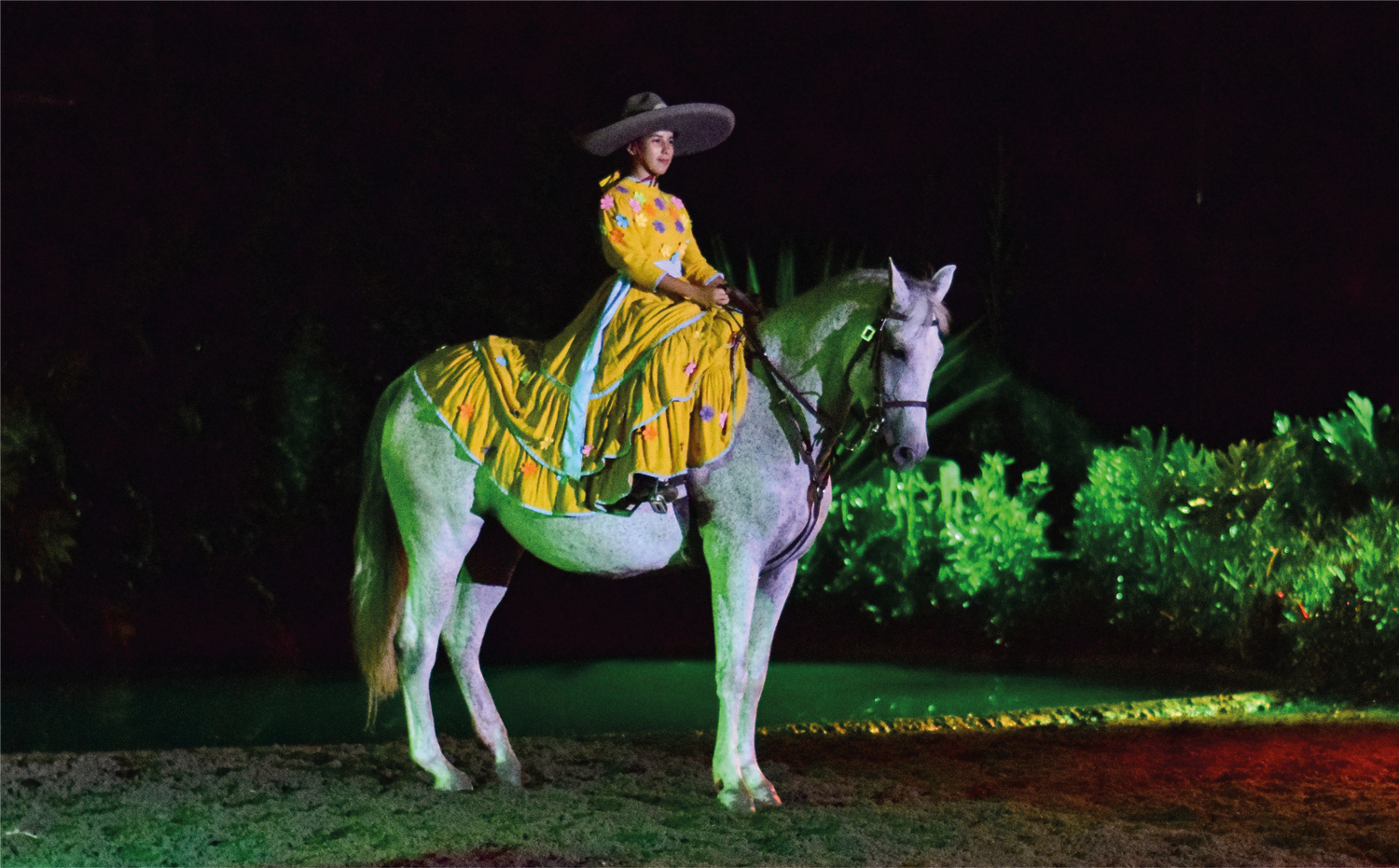 imagenCarruselPAnaca