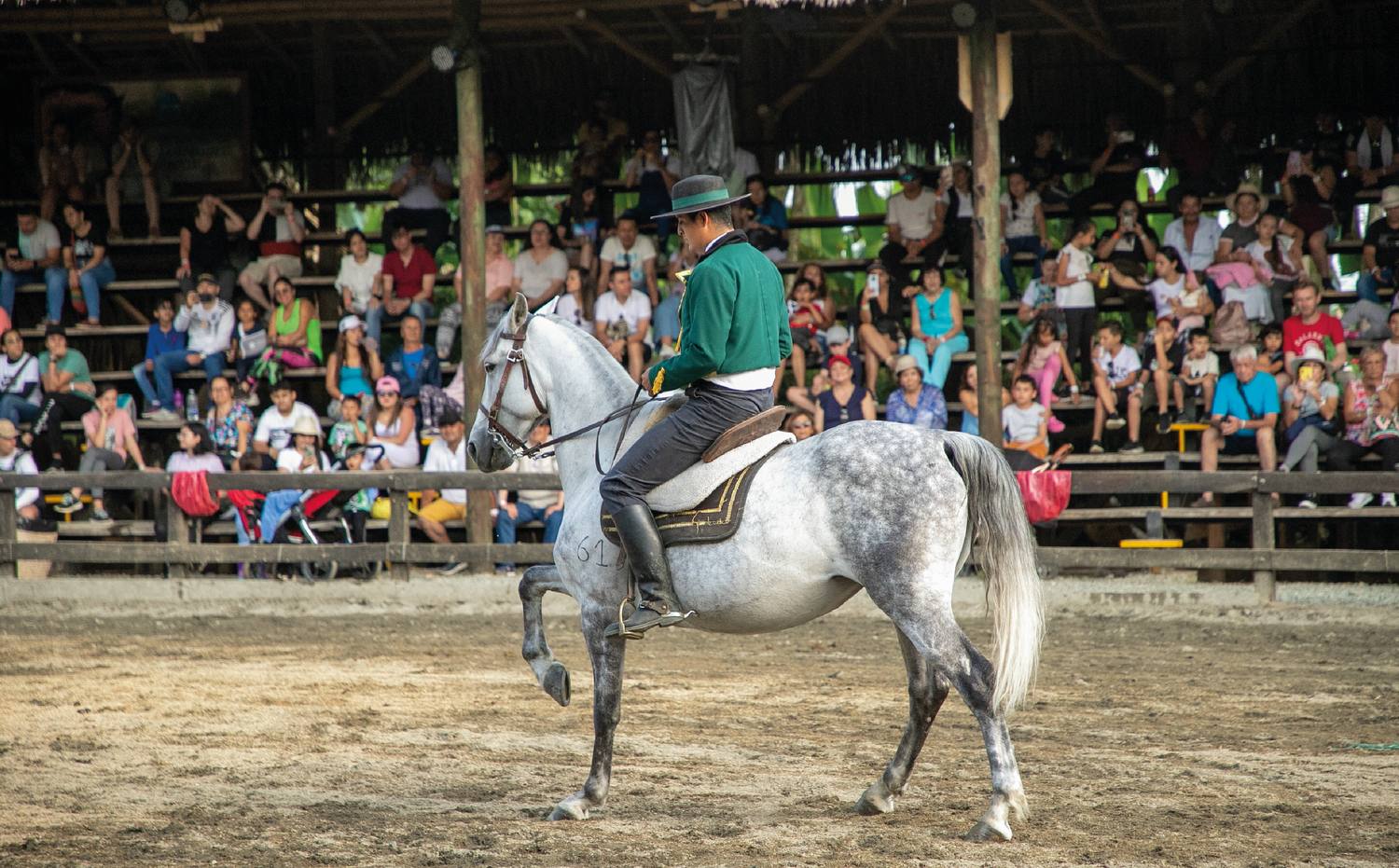 imagenCarruselPAnaca