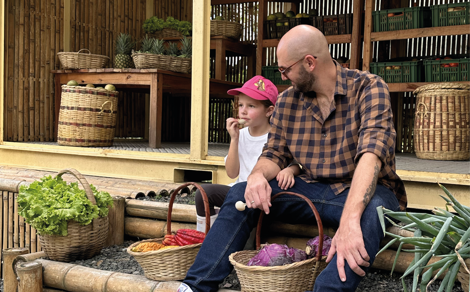 imagenCarruselPAnaca