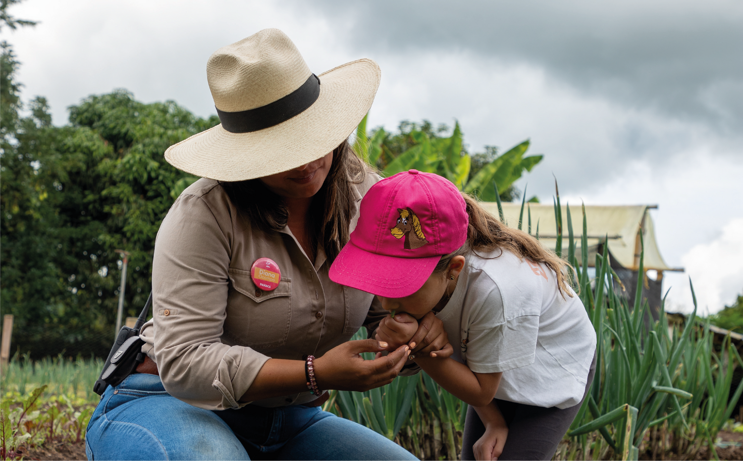 imagenCarruselPAnaca