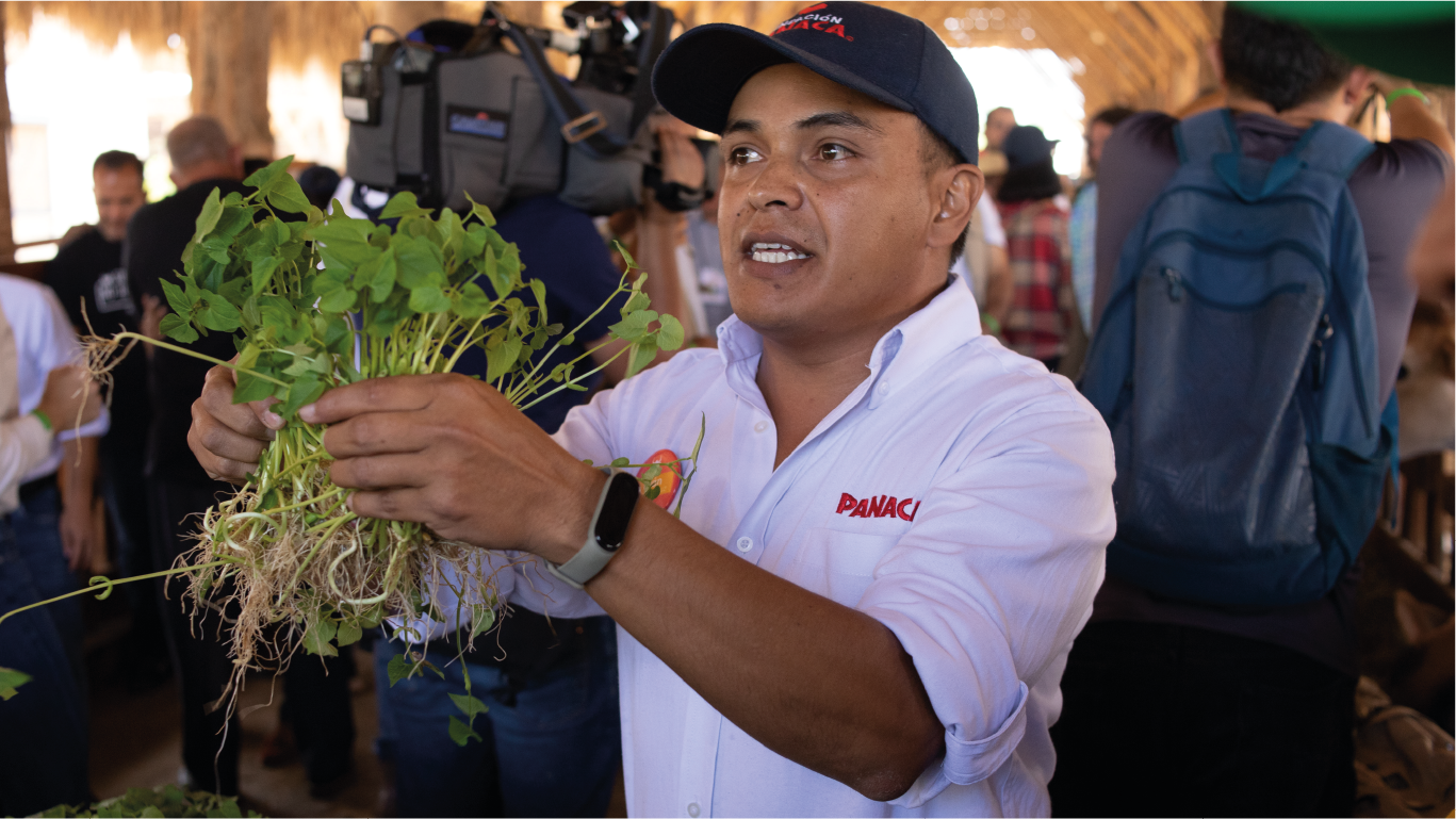 imagenCarruselPAnaca