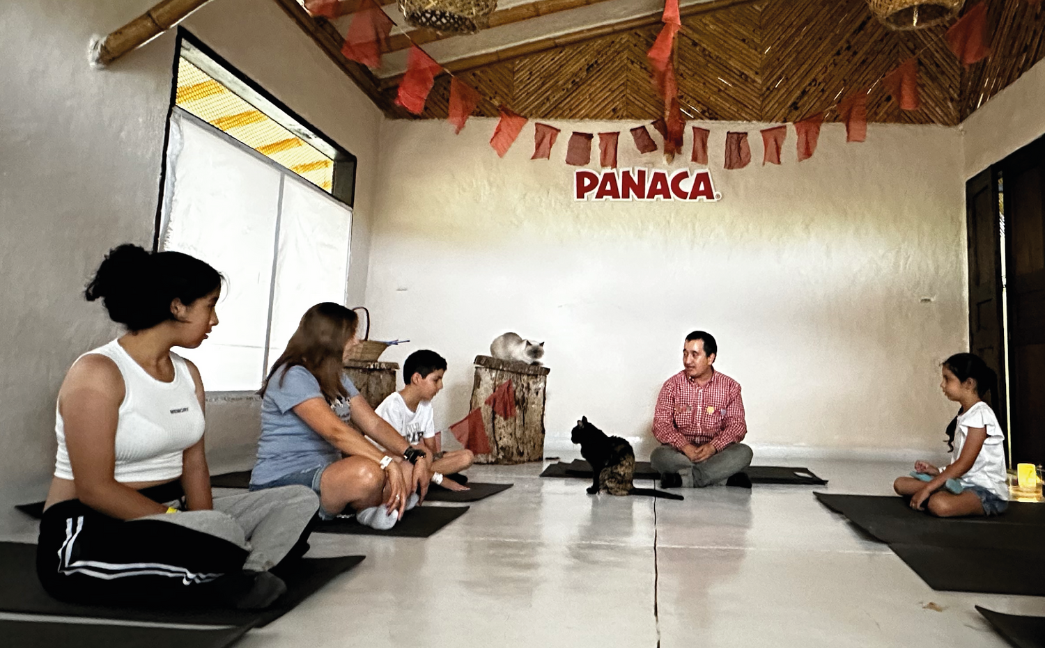 imagenCarruselPAnaca