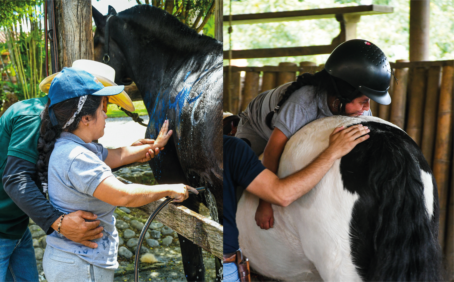 imagenCarruselPAnaca