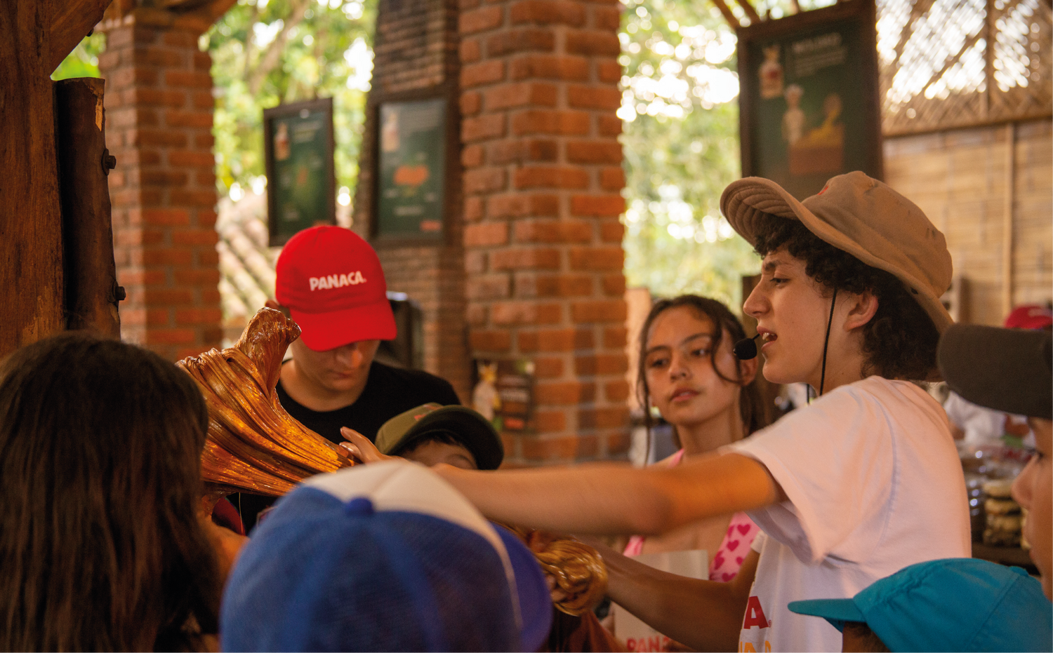 imagenCarruselPAnaca