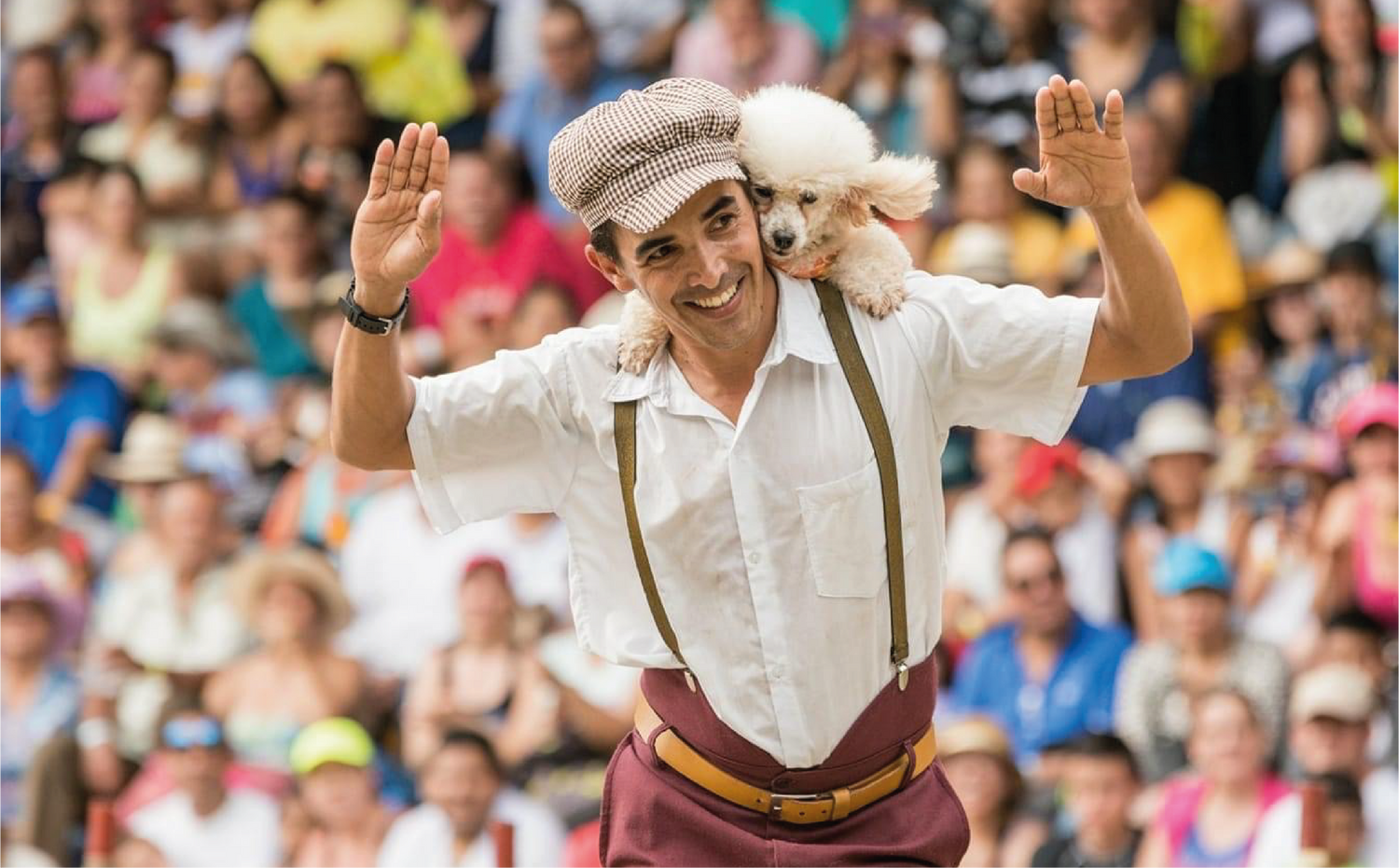 imagenCarruselPAnaca