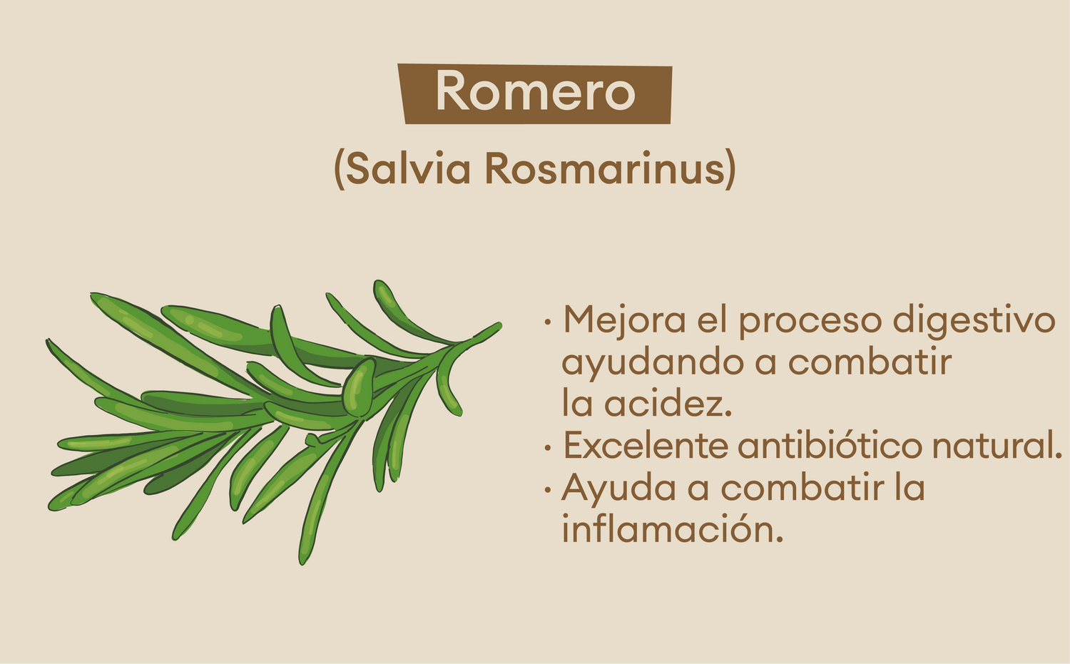 imagenCarruselPAnaca