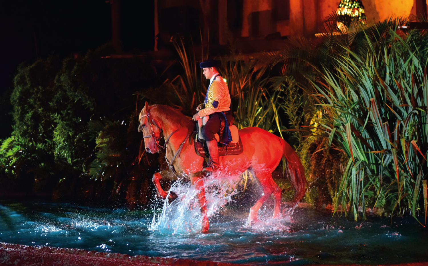 imagenCarruselPAnaca