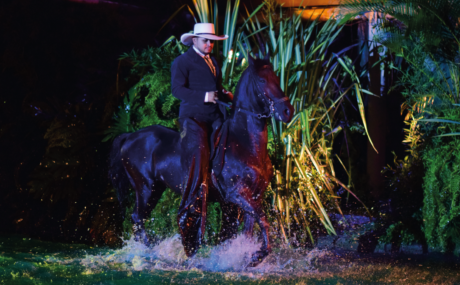 imagenCarruselPAnaca