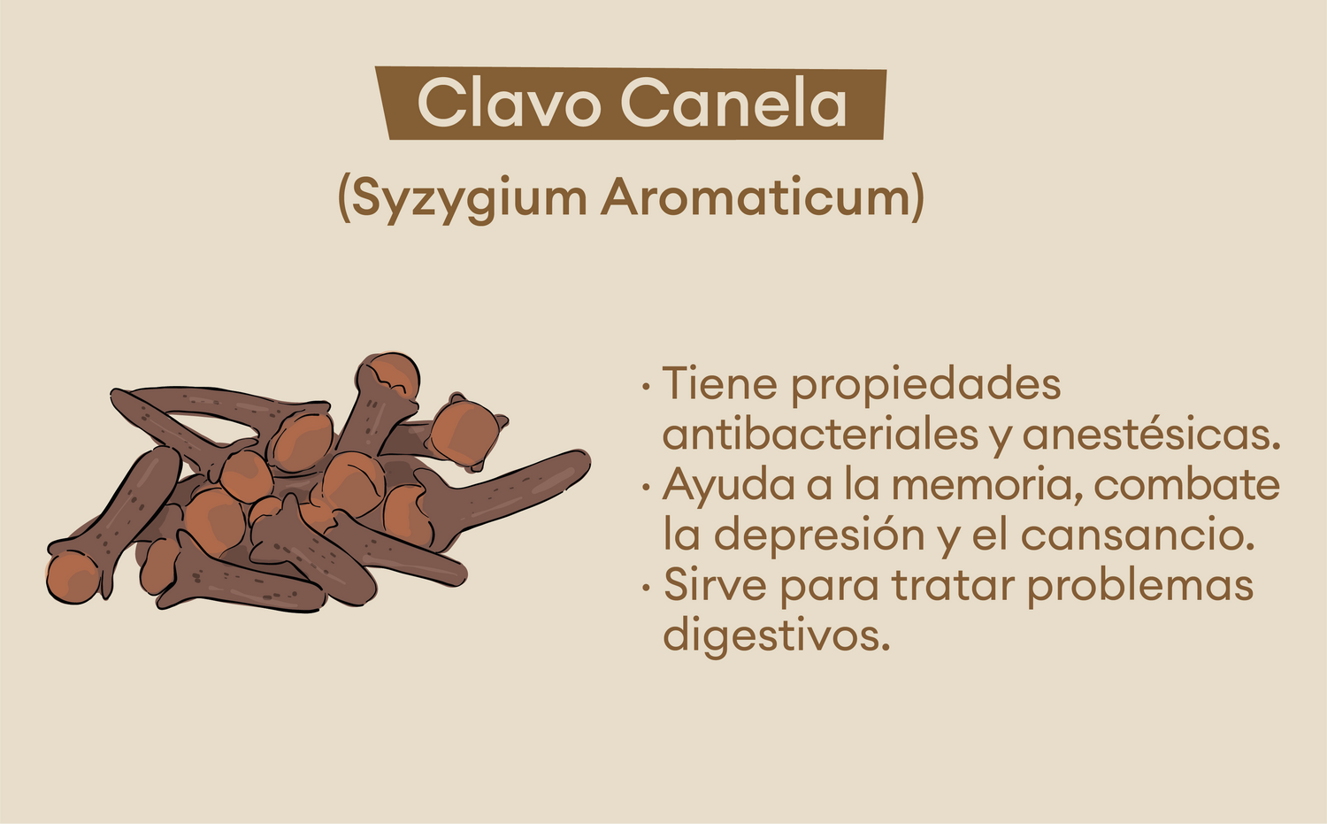 imagenCarruselPAnaca