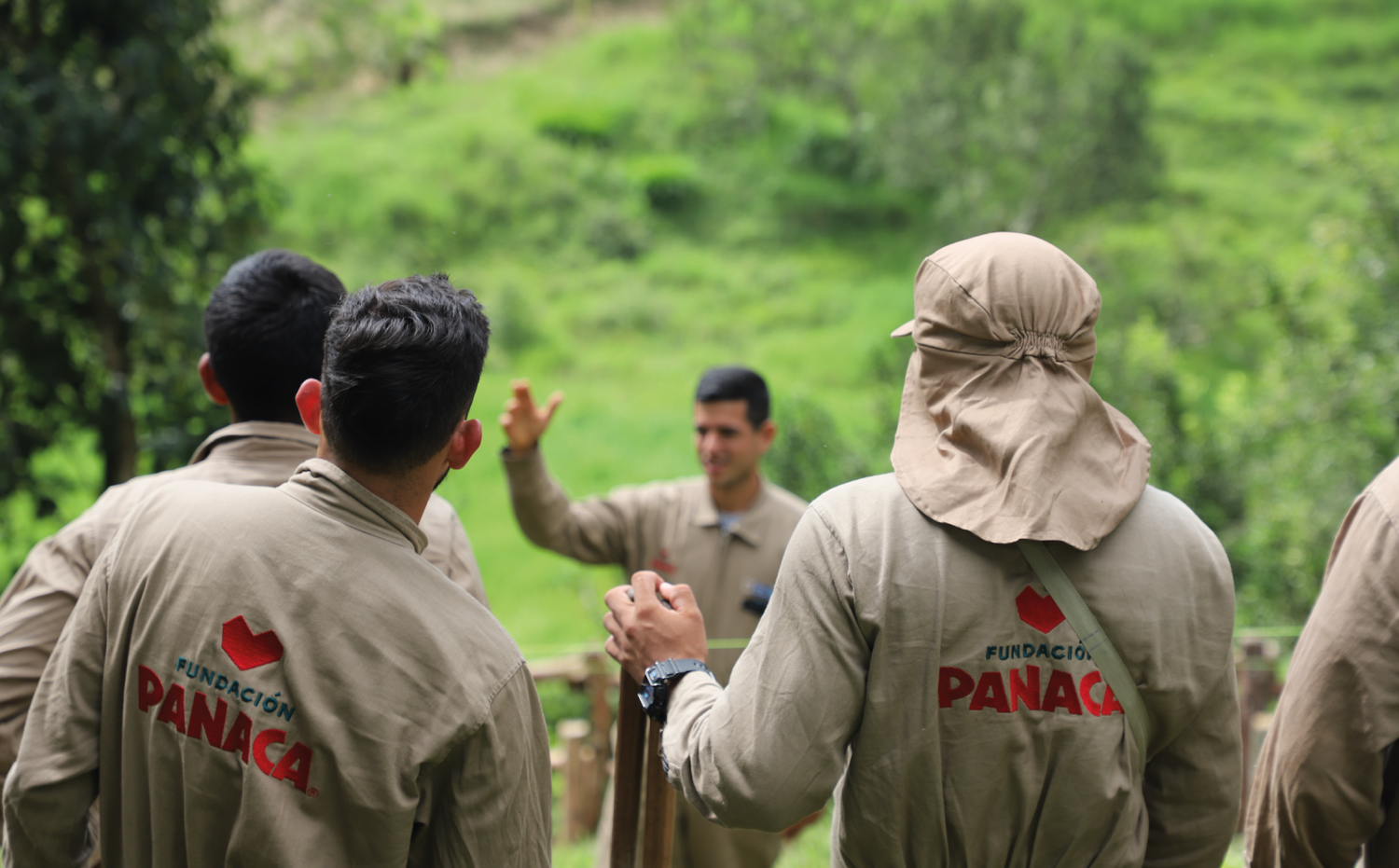 imagenCarruselPAnaca