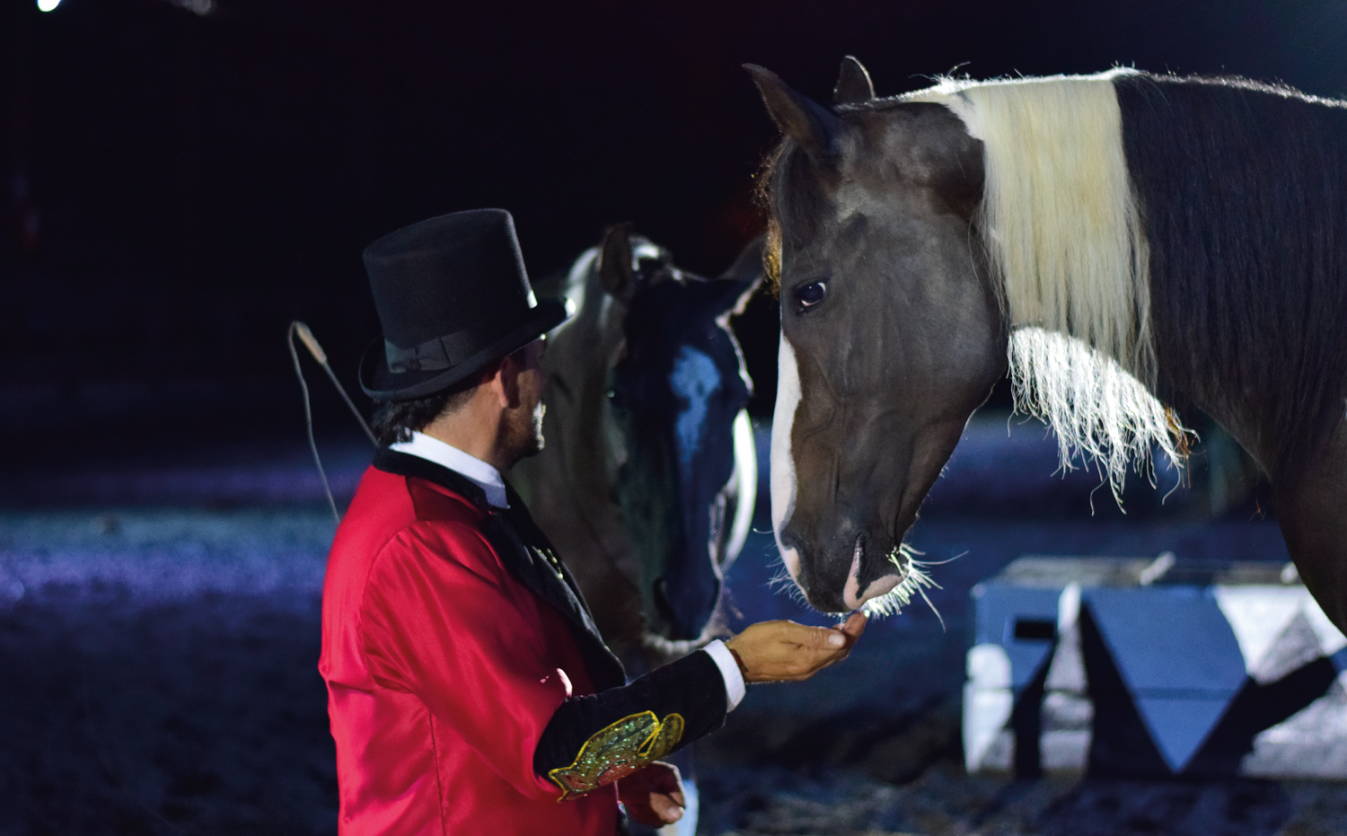 imagenCarruselPAnaca