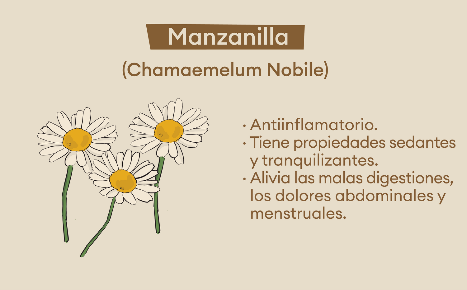 imagenCarruselPAnaca