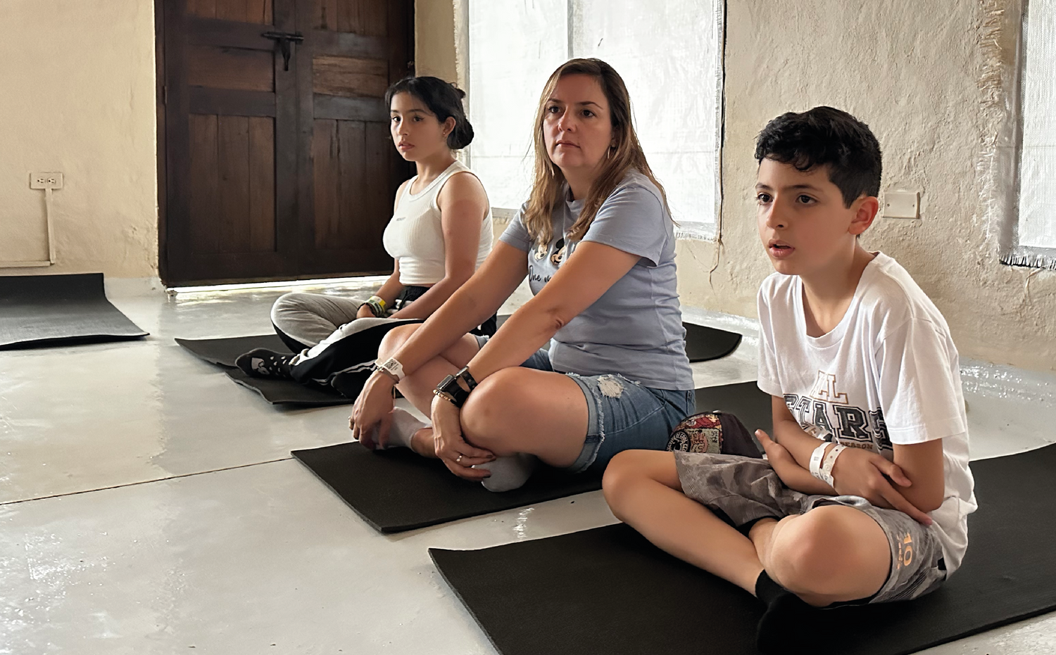 imagenCarruselPAnaca